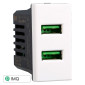 Immagine 1 - ETTROIT MOON PRESA USB 2POSTI 2.1AMH - Mod. AB2402 - Compatibile con BTicino AXOLUTE