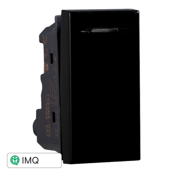 INTERRUTTORE - modello AN0401
