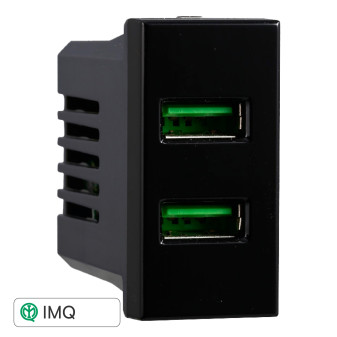 PRESA USB 2POSTI 2.1AMH - modello AN2402