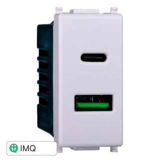PRESA USB 2 IN 1 USB+TYPE-C 3.1AMH - modello EV3002