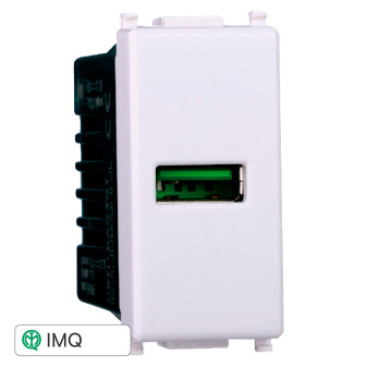 PRESA USB 2.1AMH - modello EV2401