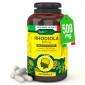 RadiciVitalia Rhodiola Rosea Forte 500mg Integratore Buon Umore e Benessere Emotivo Made in Italy - Barattolo da 120 Capsule