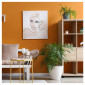 Immagine 2 - ETTROIT VENUS PLACCA PLASTICA 4P ORO LUCIDO - Mod. VA83412 - Compatibile con Vimar ARKÉ