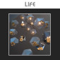 Immagine 6 - Life Lampadina LED G9 4,8W Tubolare SMD Trasparente in Ceramica - mod. 39.931266C