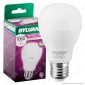 Sylvania ToLEDo Lampadina LED E27 11W Bulb A60 - mod. 26682 / 26686 / 26632 