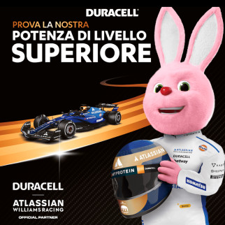 Duracell Plus MN1500 LR6 Stilo AA Mignon 1,5V Pile Alcaline Duracell Plus MN1500 LR6 Stilo AA Mignon 1,5V Pile Alcaline