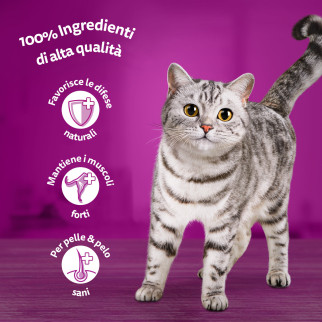 Cibo per Gatti Whiskas Pure Delight Pollo e Manzo 4x 85g