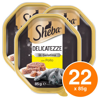 Sheba Delicatezze in Gelatina con Pollo Cibo per Gatti 22x 85g