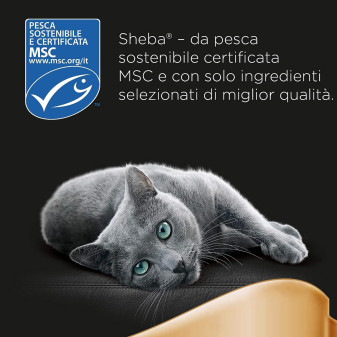 Cibo per Gatti con Tonno in Salsa Sheba - 22 Vaschette