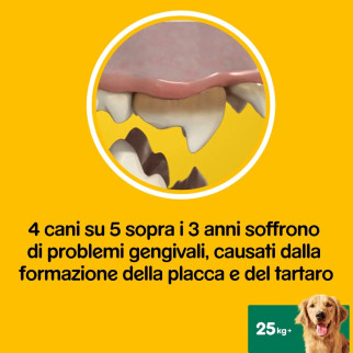 Pedigree Dentastix Large per l'igiene orale cane