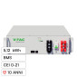 V-Tac VT-51201-W Batteria BMS LiFePO4 51,2V 100Ah 5,12kWh Garanzia 10 Anni Inverter Impianto Fotovoltaico CEI 0-21 - SKU 12323