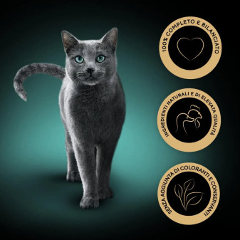 Sheba Delices Du Jour Cibo per Gatti al Pollo e Salmone 6x