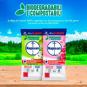 Napisan Salviette Igienizzanti Biodegradabili Giardino Fruttato