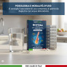 RadiciVitalia Biotina Zinco e Selenio 450mcg Vitamina B12 Blister
