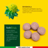 RadiciVitalia Rhodiola Rosea Forte Integratore Buon Umore 60 Compresse