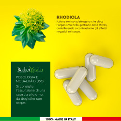 RadiciVitalia Rhodiola Rosea Forte Integratore per Buon Umore