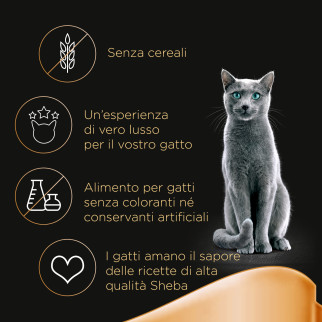 Cibo per gatti con Pollo Tacchino Agnello e Pollo Salmone Sheba