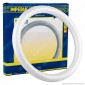 Imperia Circolina LED G10q 20W Lampadina Diametro 30cm - mod. 6010655 / 6010662 / 6010679