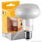 Immagine 1 - Bot Lighting Lampadina LED E27 6,5W Bulb Reflector R80 Frost