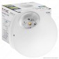 V-Tac VT-836 Lampada da Muro Wall Light LED 6W Forma Sferica Colore Bianco IP65 - SKU 8301 / 8302 [TERMINATO]