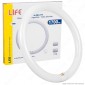 Life Circolina LED T9 G10q 19W Lampadina Diametro 30cm - mod. 39.940302N