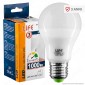 Life Serie GF Lampadina LED E27 10W Bulb A60 - mod. 39.920345C / 39.920345N / 39.920345F