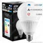 LED Line Lampadina LED E27 25W Bulb A93 Ceramic CSP Chip - mod. 248009 / 248016 [TERMINATO]