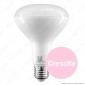 Immagine 2 - Daylight Lampadina LED E27 PAR LAMP 12W per Coltivazione Indoor