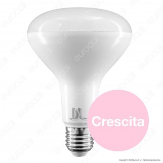 Daylight Lampadina LED E27 PAR LAMP 12W per Coltivazione Indoor