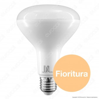 Daylight Lampadina LED E27 PAR LAMP 12W per Coltivazione Indoor