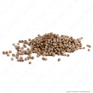 Gianco Coriandolo in Semi - Maxi Barattolo da 800 ml [TERMINATO]