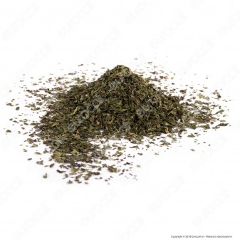 Gianco Menta Piperita in Foglie - Maxi Barattolo da 800 ml [TERMINATO]