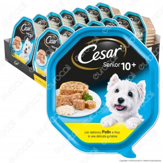 Cesar Senior 10+ Cibo per Cani con Pollo e Riso in Gelatina - 14