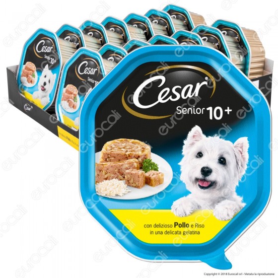Cesar Senior 10+ per Cani con Pollo e Riso in Gelatina - 14 Vaschette da 150g Cesar Senior 10+ per Cani con Pollo e Riso in Gelatina - 14 Vaschette da 150g
