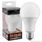 Intereurope Light Lampadina LED E27 25W Bulb A70 - mod. LL-HP2725C / LL-HP2725F [TERMINATO]