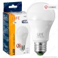 Life Serie GH Lampadina LED E27 15W Bulb A60 [TERMINATO]