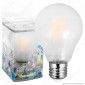 SkyLighting Lampadina LED E27 10W Bulb A67 Frost Filamento - mod. HPFL-2710SC / HPFL-2710SD / HPFL-2710SF [TERMINATO]
