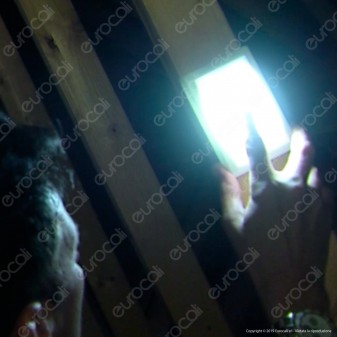 Intergross Switch Light Luce LED a Batteria con Interruttore a Levetta