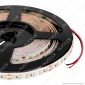 ZNLED Striscia LED 2835 Monocolore 120 LED/metro 24V - Bobina da 5 metri - mod. 62811 / 62812 [TERMINATO]