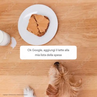 Google Home Mini Smart Speaker Colore Grigio Antracite - SKU 100067
