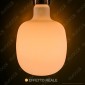 Immagine 3 - Daylight RODI Lampadina E27 Filamento LED 6W Tubolare Effetto Porcellana Dimmerabile CRI≥90 - mod. 700241.0IA