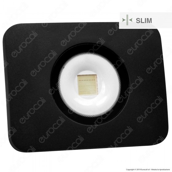 Led Factory Italia Faro LED 30W RGB Multicolore da Esterno con Telecomando Infrarossi - mod. FL-10RGB Led Factory Italia Faro LED 30W RGB Multicolore da Esterno con Telecomando Infrarossi - mod. FL-10RGB