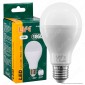 Life Lampadina LED E27 15W Bulb A67 - mod. 39.920316C / 39.920316N / 39.920316F [TERMINATO]