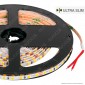 LEDCO Striscia LED 2835 Ultraslim 5mm Monocolore 120 LED/metro 24V Bobina da 5 metri - mod. SL125LBC20 / SL125LBN20 / SL125LBI20