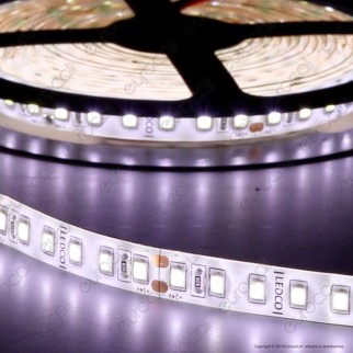 LEDCO Striscia LED 2835 Monocolore 120 LED/metro 24V IP65 per