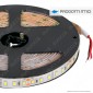LEDCO Striscia LED 2835 Monocolore 120 LED/metro 24V IP65 per Pescherie - Bobina da 5 metri