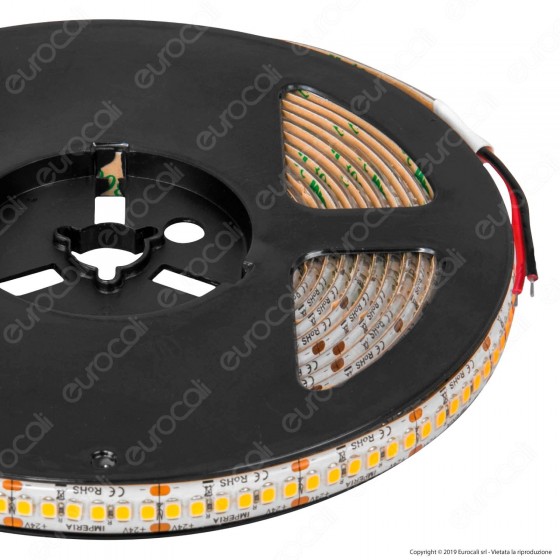 Imperia Striscia LED 2835 Monocolore 240 LED/metro 24V IP65 - Bobina da 5 metri - mod. 6013410 / 6013427 / 6013434 Imperia Striscia LED 2835 Monocolore 240 LED/metro 24V IP65 - Bobina da 5 metri - mod. 6013410 / 6013427 / 6013434
