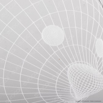 Cucciolo di Volpe - Placca in Plexiglass Trasparente Effetto 3D