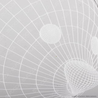 Cucciolo di Volpe - Placca in Plexiglass Trasparente Effetto 3D