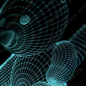 Cucciolo di Volpe - Placca in Plexiglass Trasparente Effetto 3D